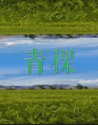 [网盘下载][青稞][全3集] [国语配音/中文字幕][1080P]