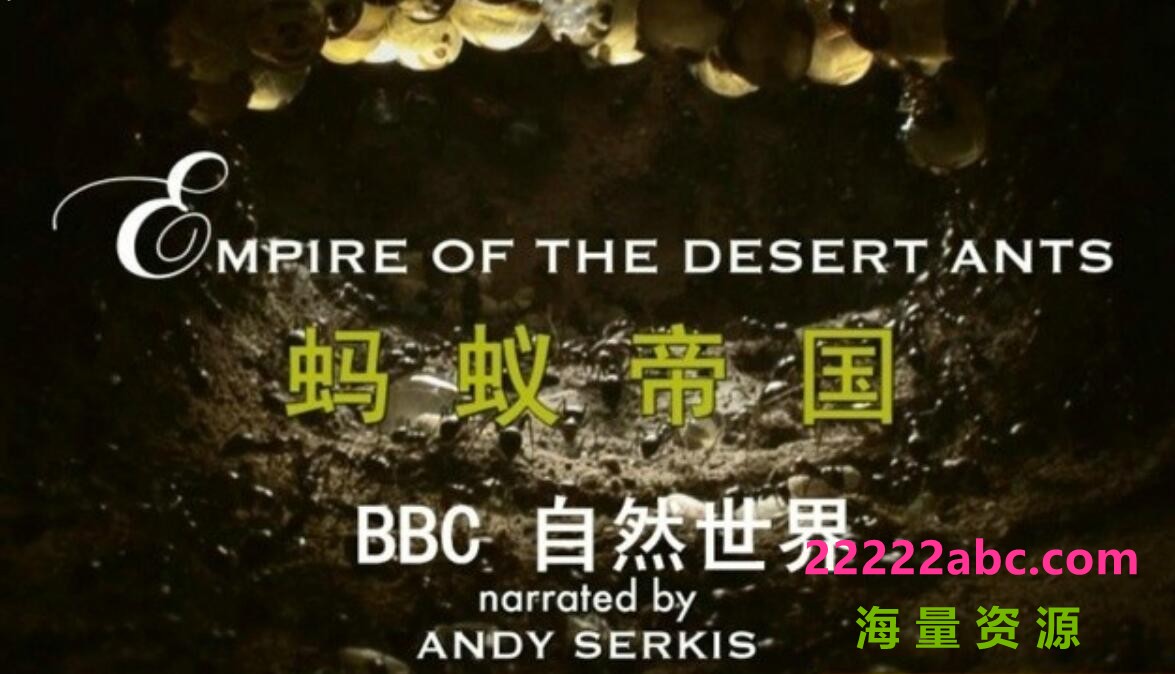 [网盘下载]BBC自然世界 720P高清纪录片《蚂蚁帝国 Empire of the Desert Ants 2010》全集下载