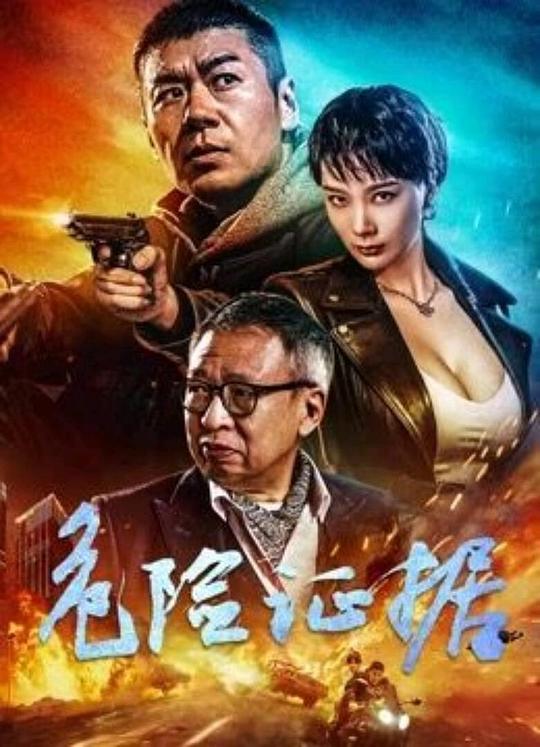 [网盘下载]2024动作《危险证据》4K.HD国语中字