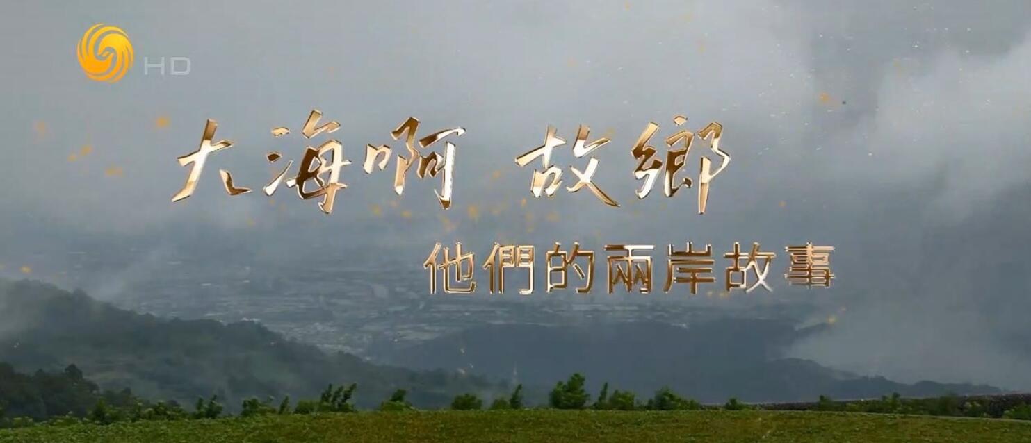 [网盘下载]凤凰大视野.大海啊故乡.他们的两岸故事.2023.HDTV.720P.X264.AAC-NCCX