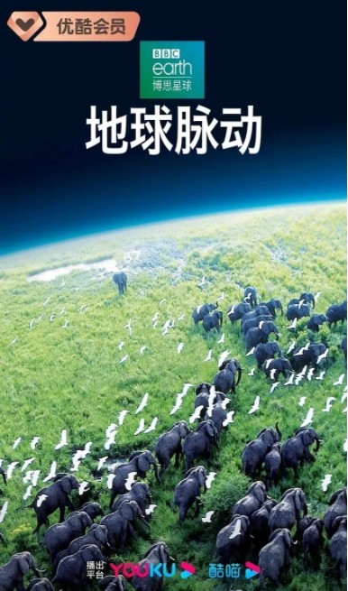 [网盘下载]地球脉动.Planet.Earth.2006.S01/11集全.BluRay.720P.X264.AAC.2Audio-NCCX