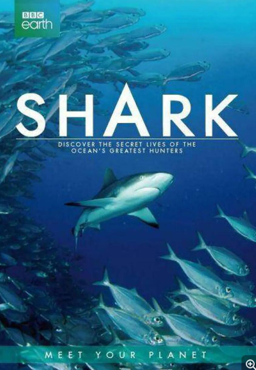 [网盘下载][BBC：Shark 鲨鱼 2015][全3集] [2015年][英音轨/内置中英字幕][MP4/720P/2.34G