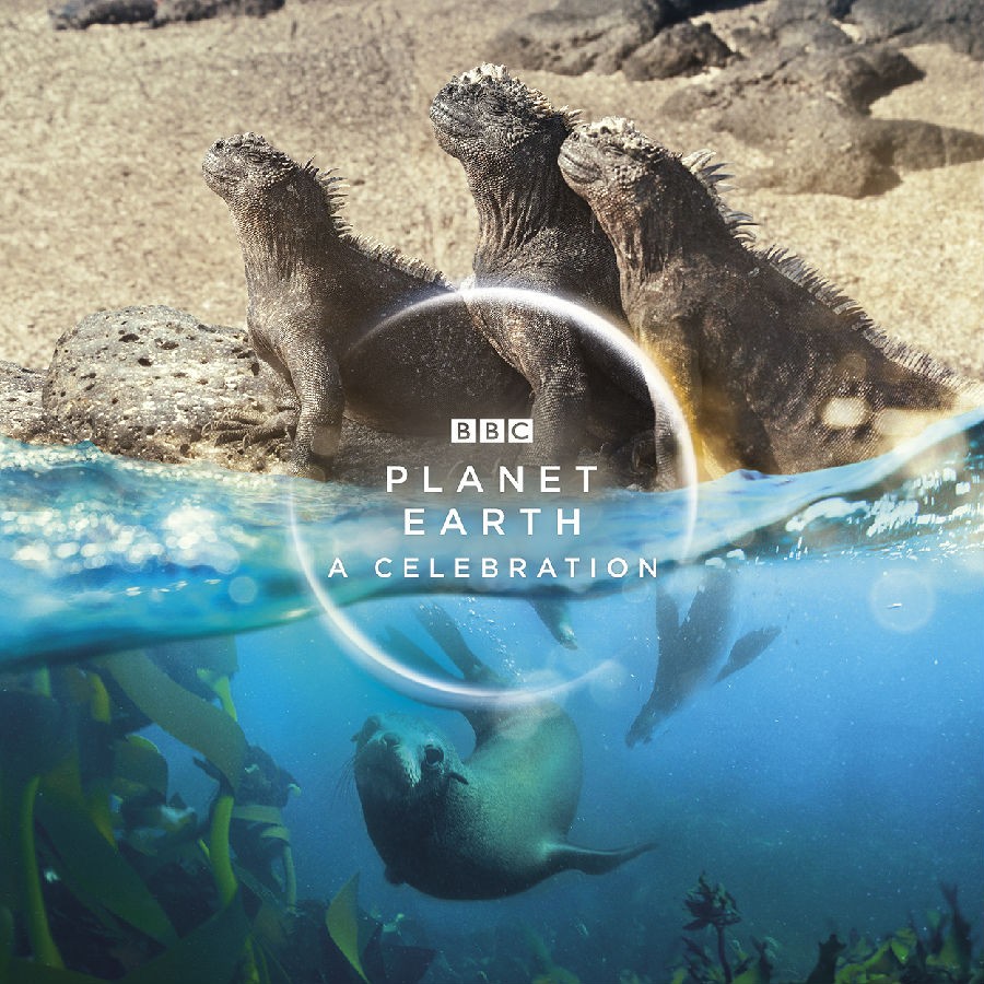 [网盘下载]BBC.地球脉动.生命礼赞.Planet.Earth.A.Celebration.2020.BluRay.720P.X264.AAC-NCCX