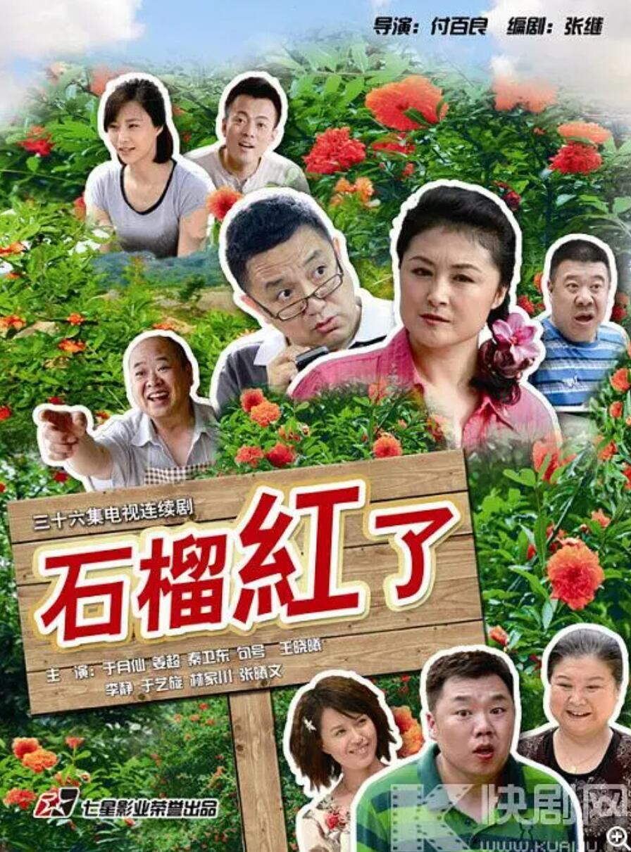 [网盘下载][火红的日子][720P][高清][MP4][15.86G][每集280-300M][2012年] [国语中字][姜超/于月仙]