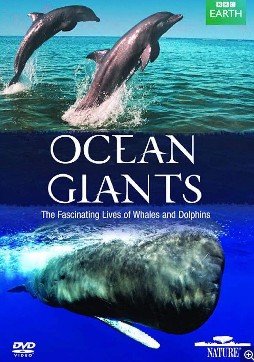 [网盘下载][海洋巨兽/Ocean Giants(全3集)] [英国][纪录片][2011][BD-MKV/8.3G][英语中字][1080P]