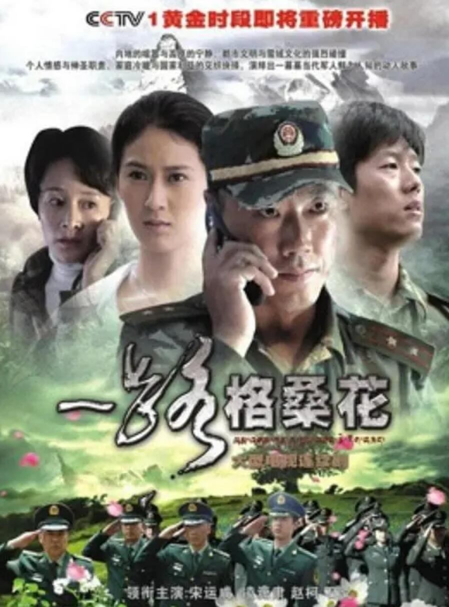 [网盘下载]超清1080P《一路格桑花》电视剧 全20集 国语中字