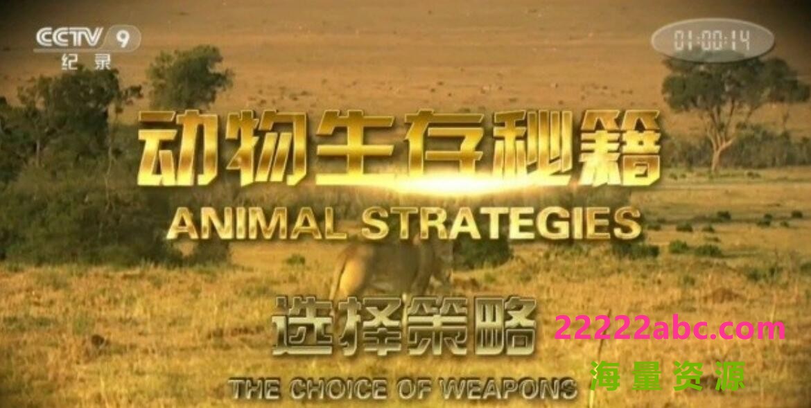 [网盘下载]纪录片《动物生存秘籍 Animal Strategies》全6集 汉语中字 1080P高清