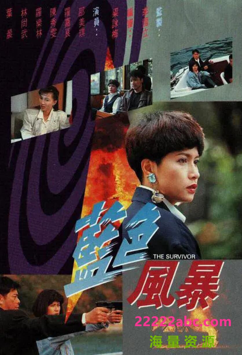 [网盘下载][香港/TVB/1991]蓝色风暴 [20集全/每集约280MB][粤语]