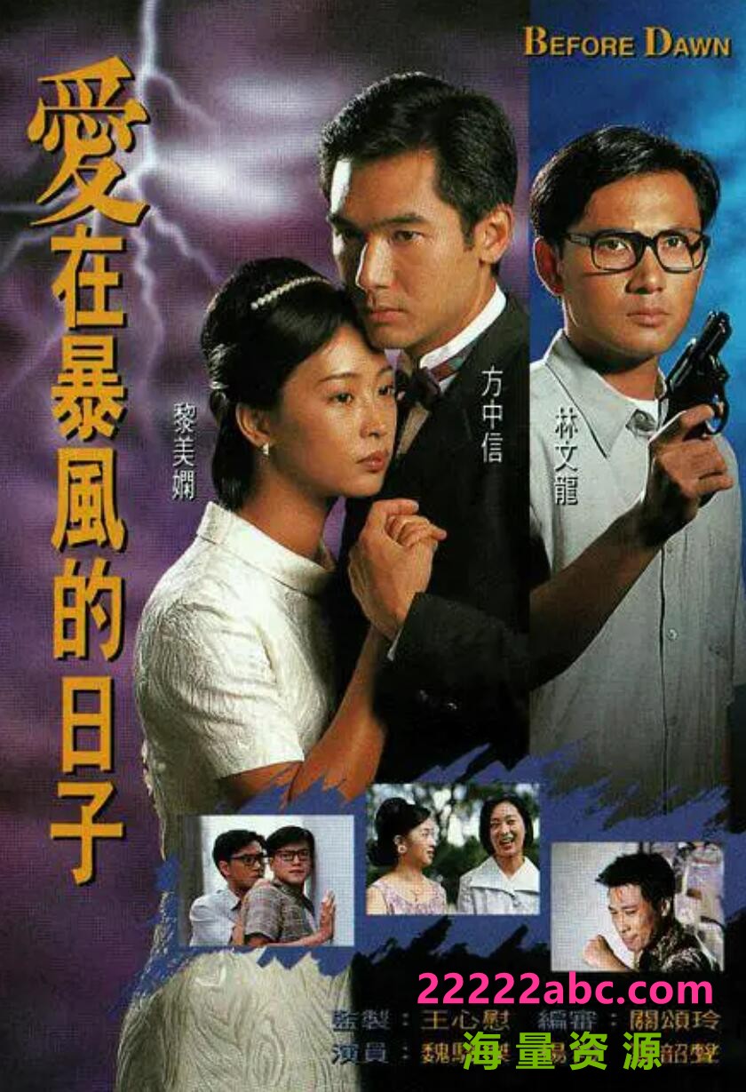 [网盘下载][爱在暴风的日子][GOTV源码TS][720P高清/16.49G/每集850M]1995年[国语无字幕][网盘资源下载]