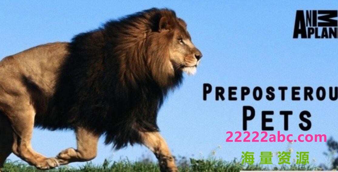 [网盘下载]探索频道《宠物妙翻天 Preposterous Pets》全7集 720P高清