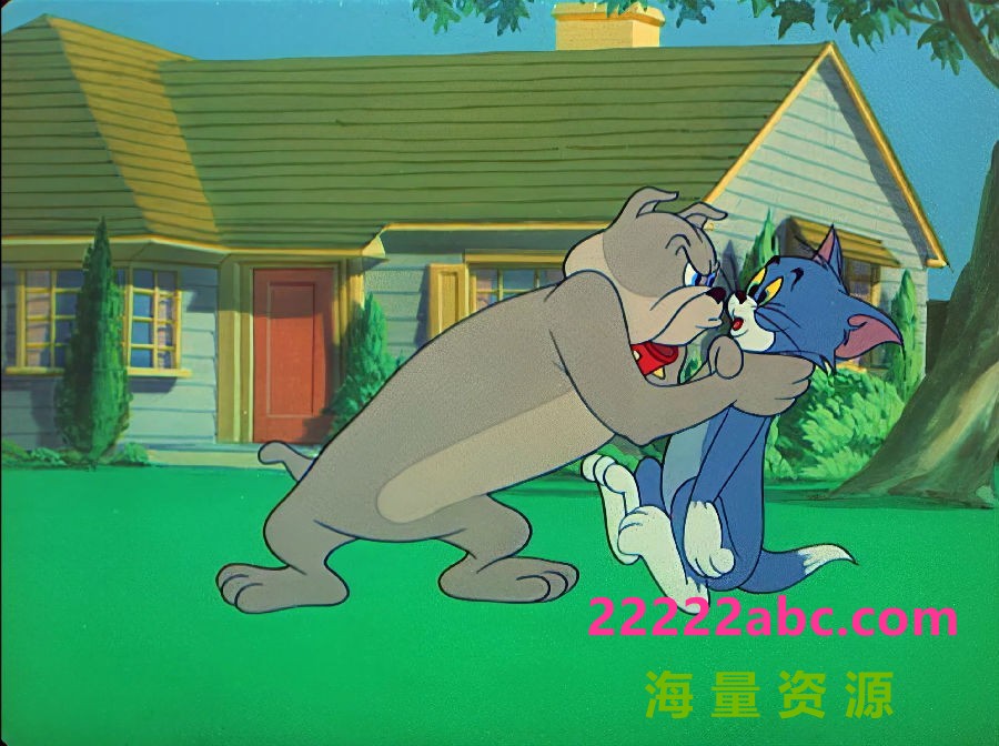 [网盘下载]流畅480P《猫和老鼠》动画片 全194集 国语无字