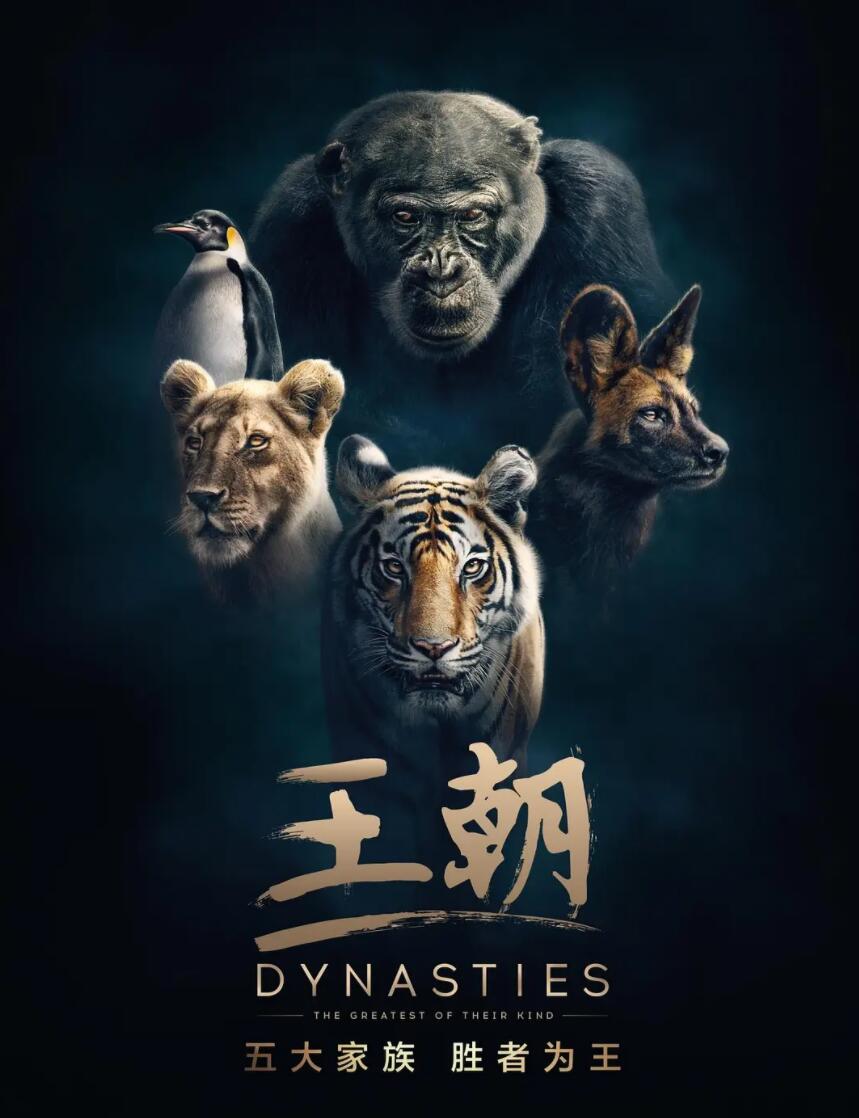 [网盘下载][王朝/Dynasties][5集全] [2018][国英双语中字][mp4/3.59G][720P]