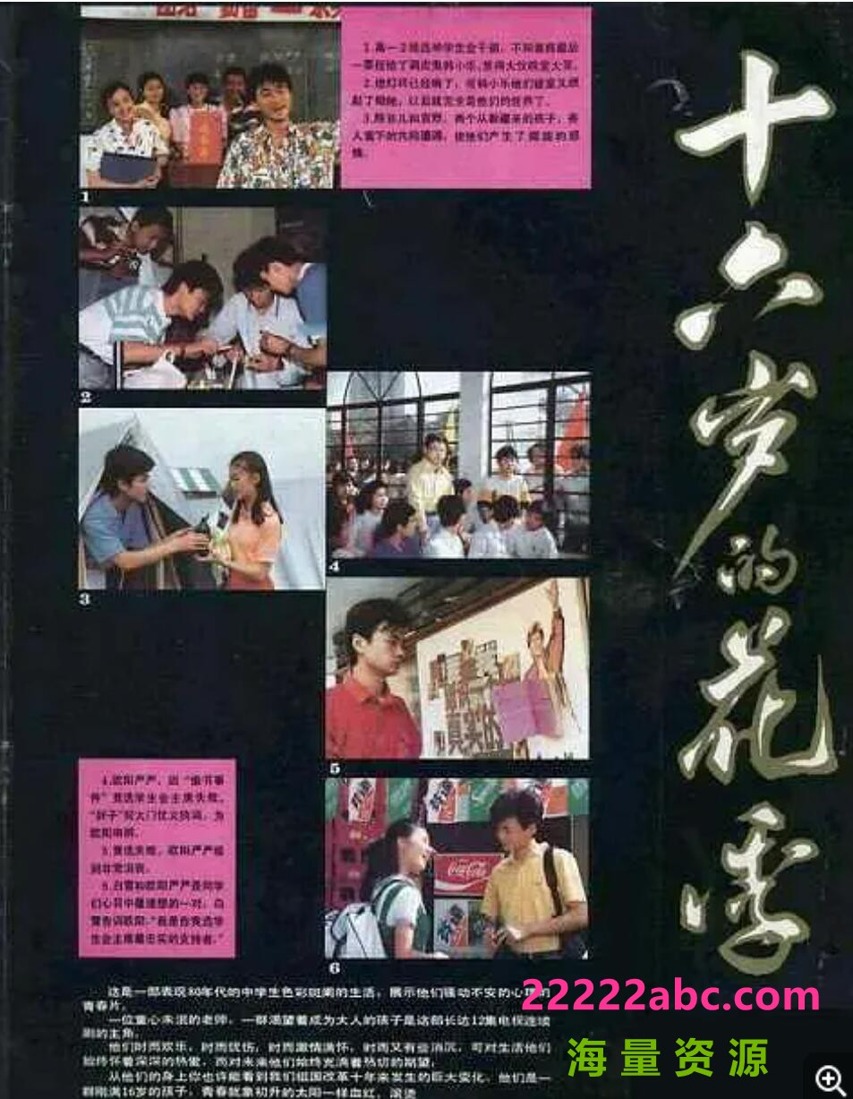 [网盘下载][1989年][十六岁的花季][国语无字珍藏版][12集全][RMVB/每集约150M]