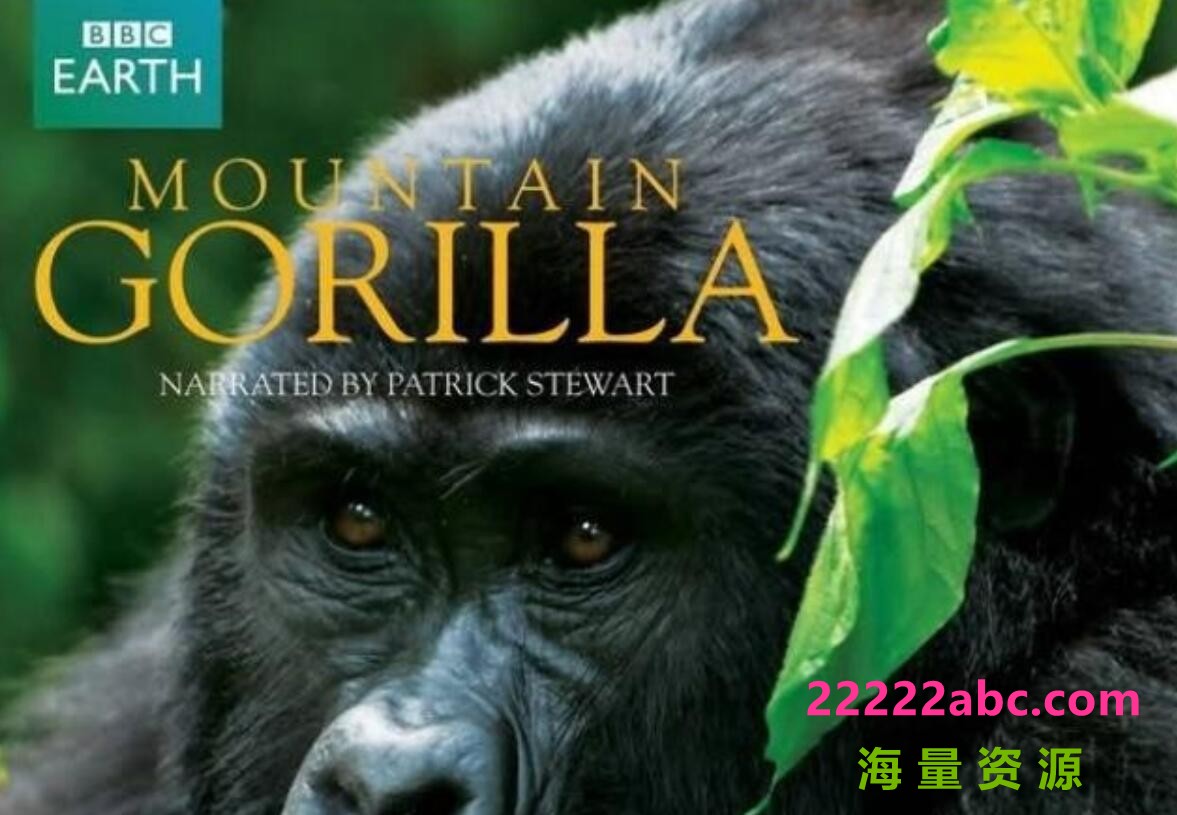 [网盘下载]BBC纪录片《山地大猩猩 Mountain Gorilla》全3集 央视版 国语中字 720P高清