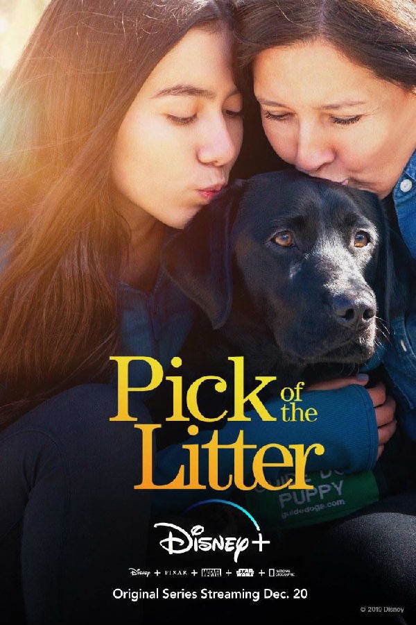 [网盘下载][崽之抉择 Pick of the Litter 第一季][全06集]